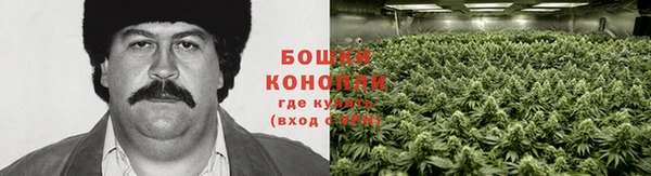 винт Лиски