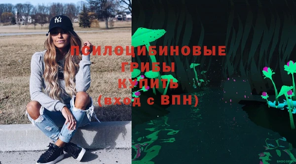 шишки Магас