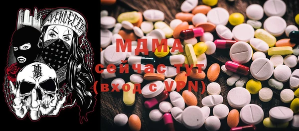 шишки Магас