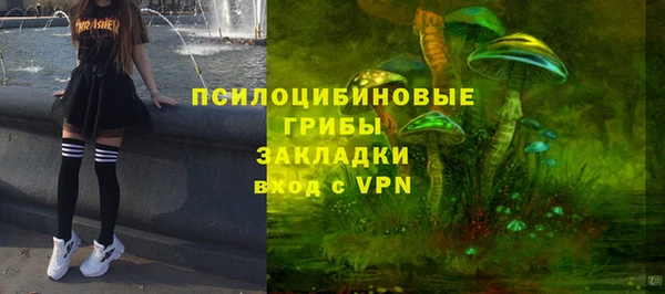 гидра Всеволожск